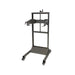 Audion Sealmaster mobile industrial frame